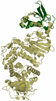 Image Biological Unit 15