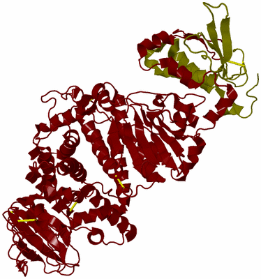 Image Biological Unit 16