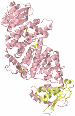 Image Biological Unit 2