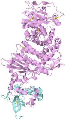 Image Biological Unit 3