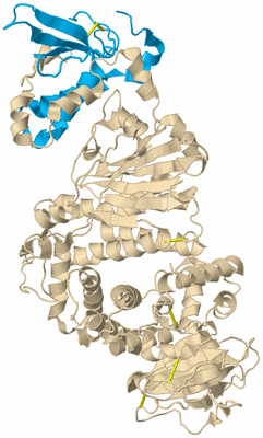 Image Biological Unit 5