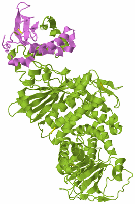 Image Biological Unit 7