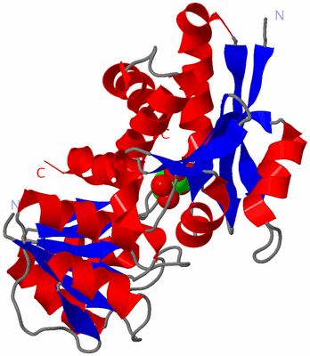 Image Asym./Biol. Unit