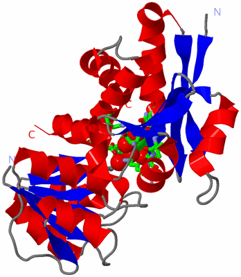 Image Asym./Biol. Unit - sites