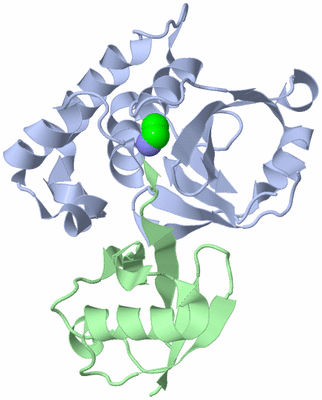 Image Biological Unit 1