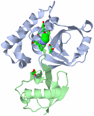 Image Biol. Unit 1 - sites