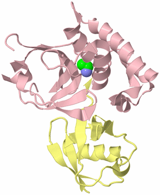 Image Biological Unit 2