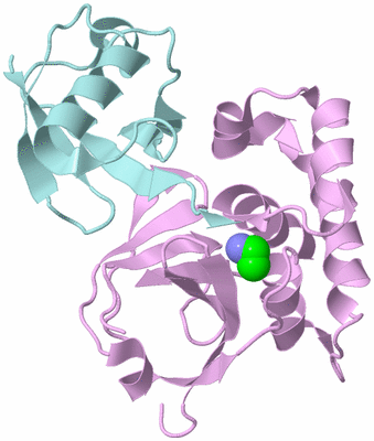 Image Biological Unit 3