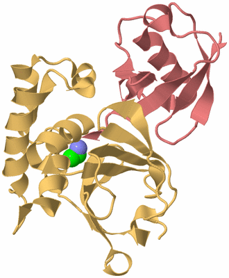 Image Biological Unit 4