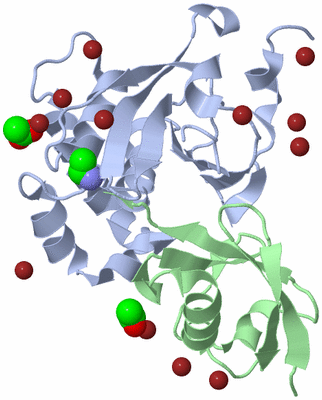 Image Biological Unit 1