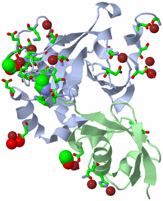 Image Biol. Unit 1 - sites