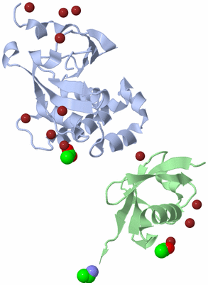 Image Biological Unit 2