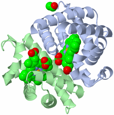 Image Biological Unit 1