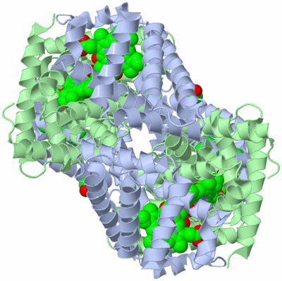 Image Biological Unit 3