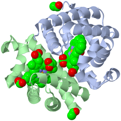 Image Biological Unit 1