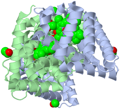 Image Biological Unit 2