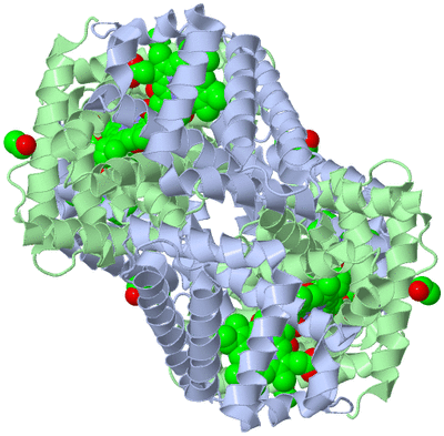 Image Biological Unit 3