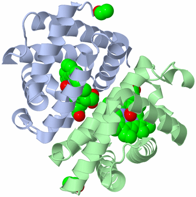 Image Biological Unit 1