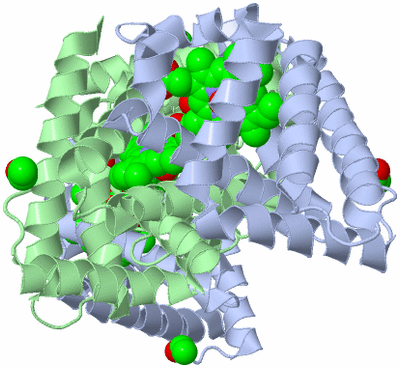 Image Biological Unit 2