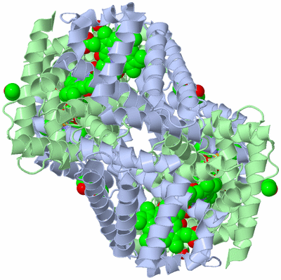 Image Biological Unit 3