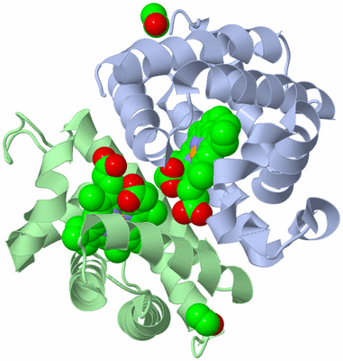 Image Biological Unit 1