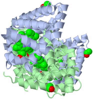 Image Biological Unit 2