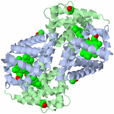 Image Biological Unit 3