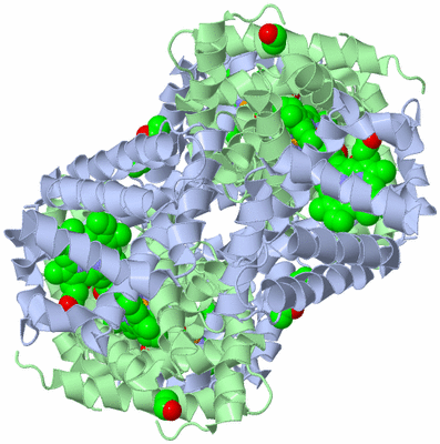 Image Biological Unit 4