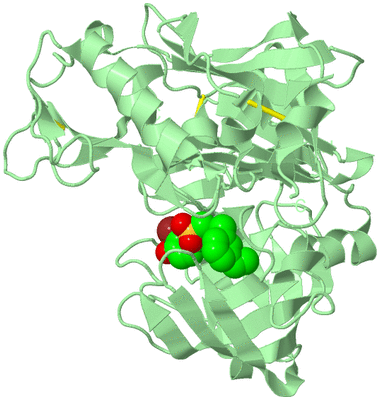 Image Biological Unit 2
