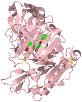 Image Biological Unit 3