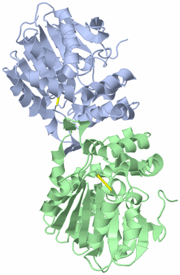 Image Biological Unit 1