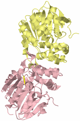 Image Biological Unit 2