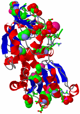 Image Asym. Unit - sites