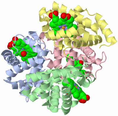 Image Asym./Biol. Unit