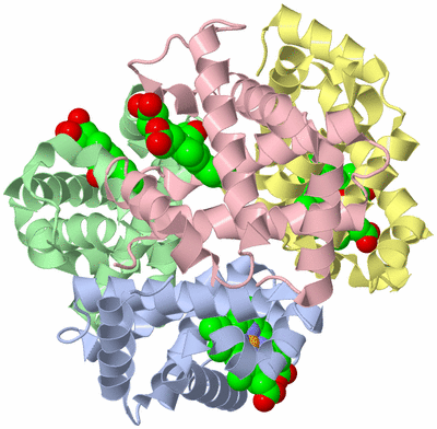 Image Asym./Biol. Unit