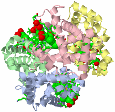 Image Asym./Biol. Unit - sites