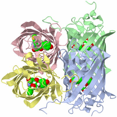 Image Biological Unit 1