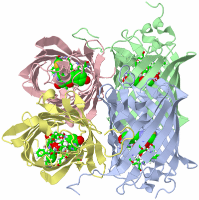 Image Biol. Unit 1 - sites