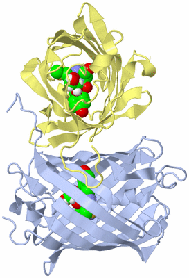 Image Biological Unit 2