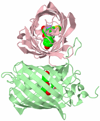 Image Biological Unit 3