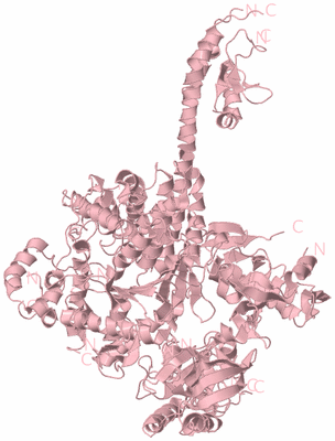 Image Biological Unit 3