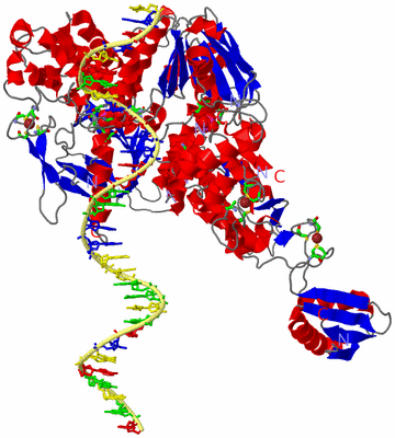 Image Asym. Unit - sites