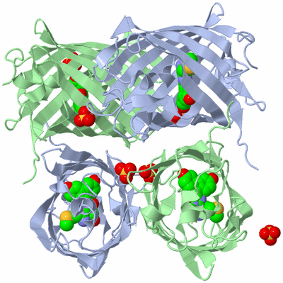 Image Biological Unit 2