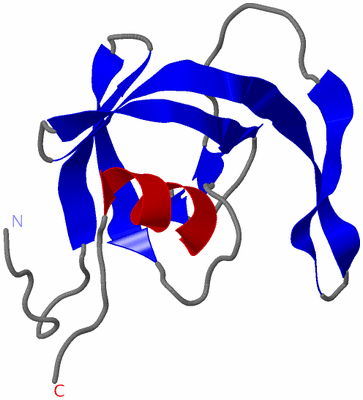 Image Asymmetric Unit