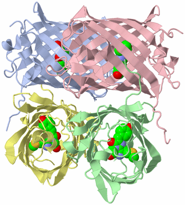 Image Asym./Biol. Unit