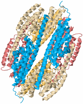 Image Biological Unit 2