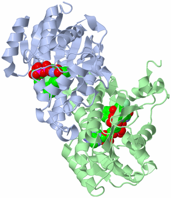 Image Asym./Biol. Unit