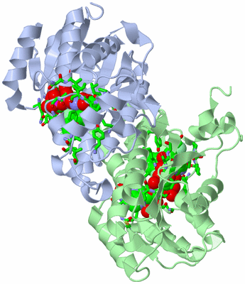 Image Asym./Biol. Unit - sites