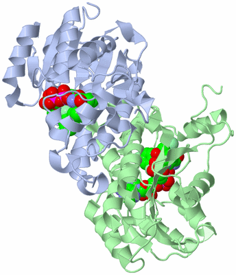 Image Asym./Biol. Unit