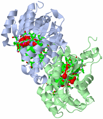 Image Asym./Biol. Unit - sites